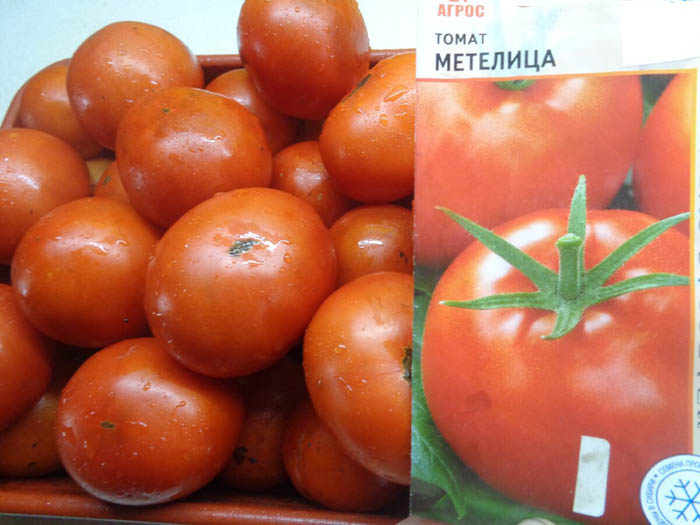 Когда сажать томаты в Сибири в 2023 году