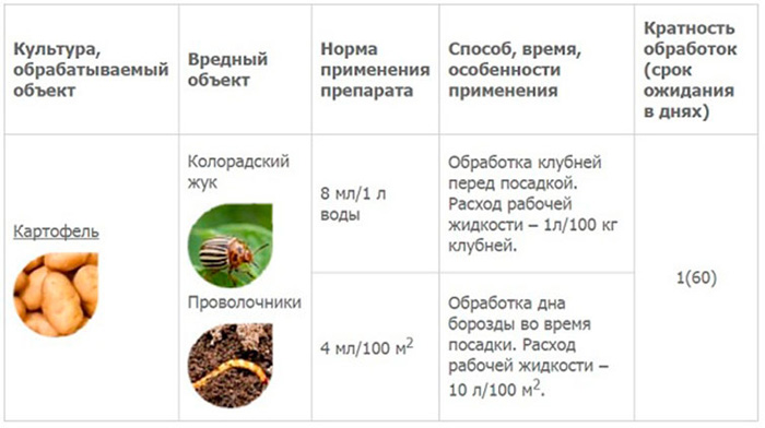 Колорадский жук: проверенные средства и препараты для борьбы с вредителем