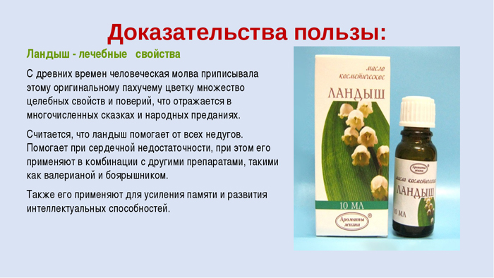 Ландыш майский — весенний цветок из Красной книги: описание, сорта и виды, посадка и уход