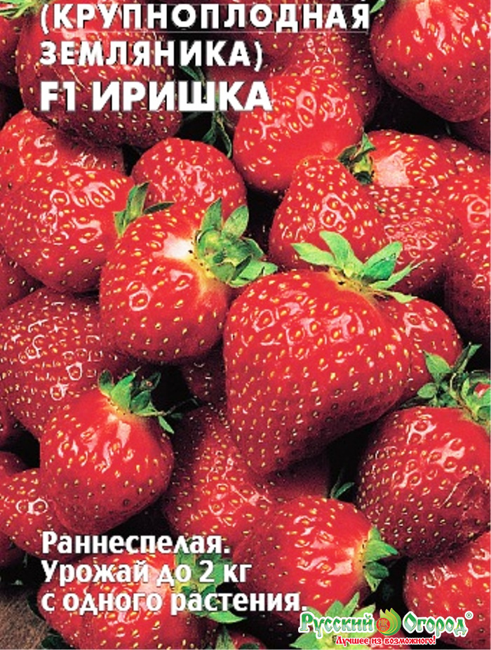 Лучшие сорта клубники для Подмосковья в 2023 году