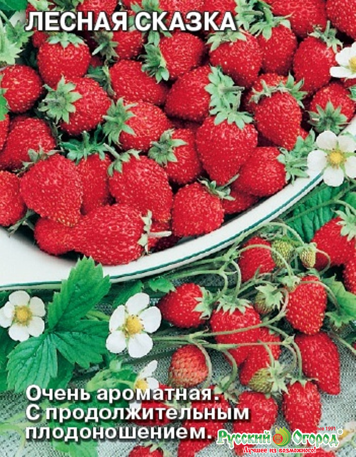 Лучшие сорта клубники для Подмосковья в 2023 году
