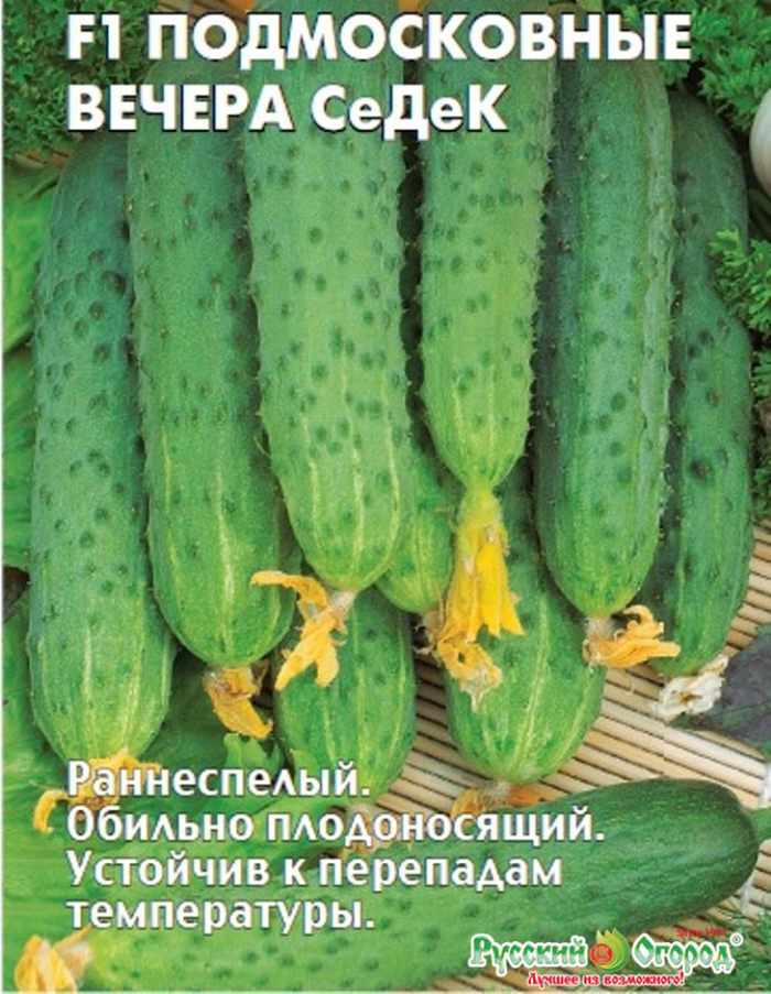 Лучшие сорта огурцов для теплицы — ТОП-45 2023 года