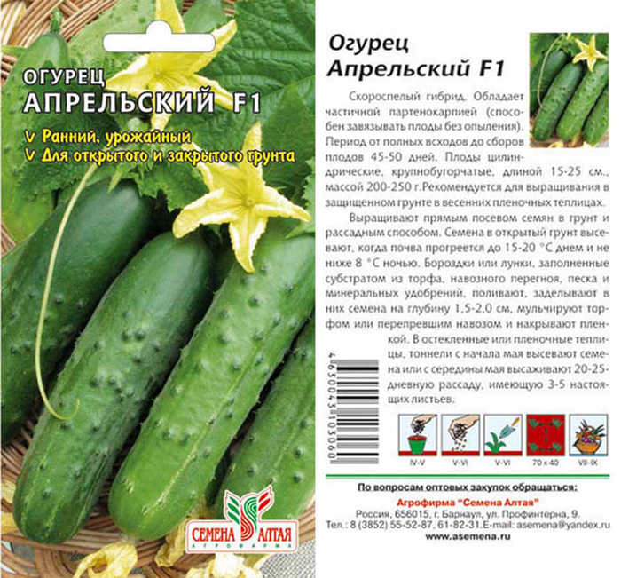 Лучшие сорта огурцов для теплицы — ТОП-45 2023 года