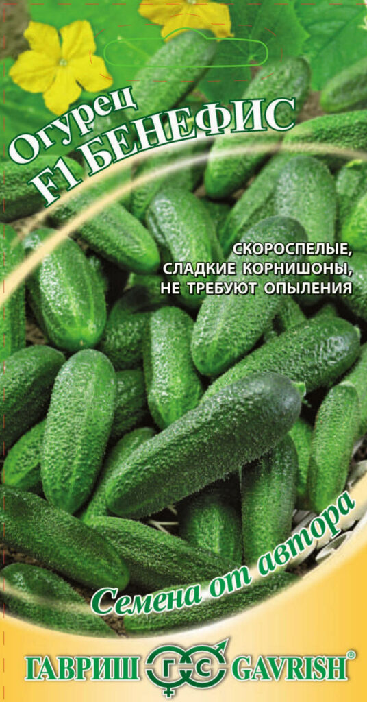 Лучшие сорта огурцов для засолки – рейтинг 2023 года
