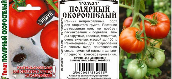 Лучшие сорта томатов для Сибири 2023 года