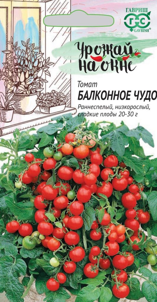 Лучшие сорта томатов для теплиц из поликарбоната в 2023 году