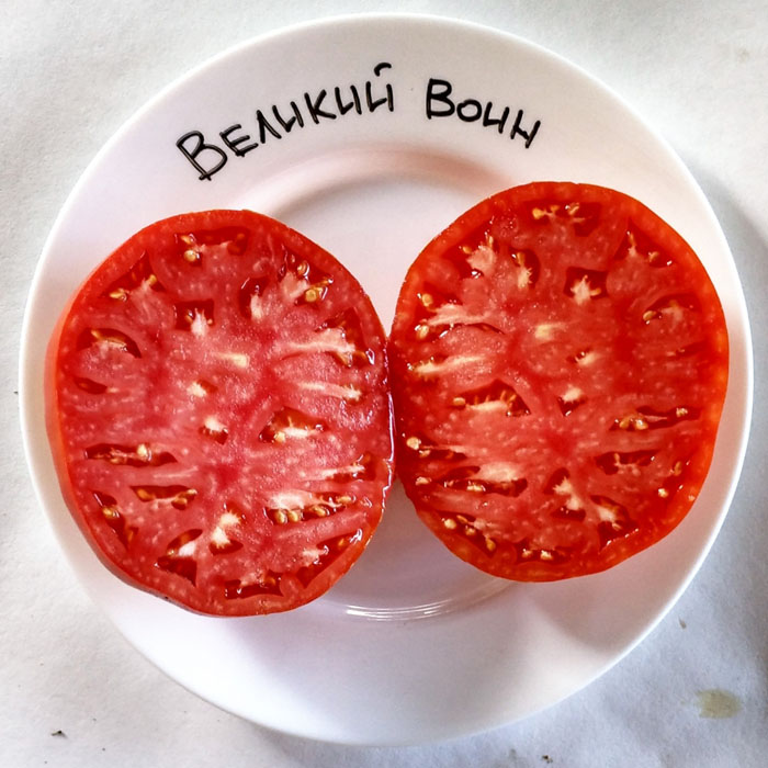 Лучшие сорта томатов для Урала 2022 года