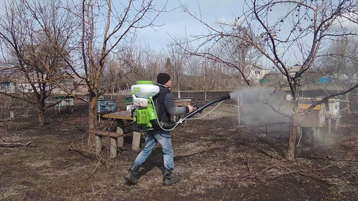 Медный купорос — инструкция по применению в огороде и саду весной и осенью