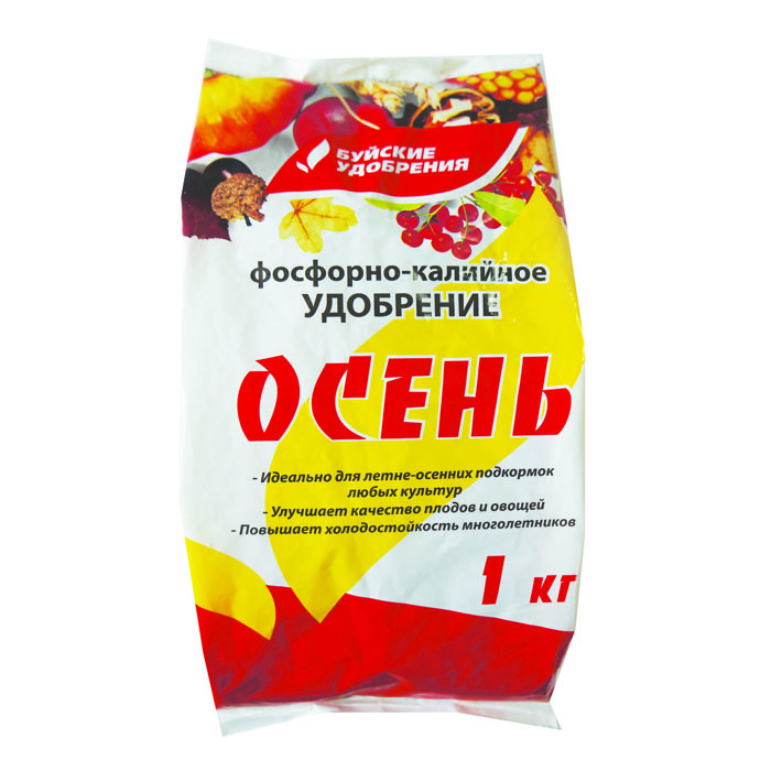 Мускари: описание, виды, способы размножения, посадка и выращивание в открытом грунте