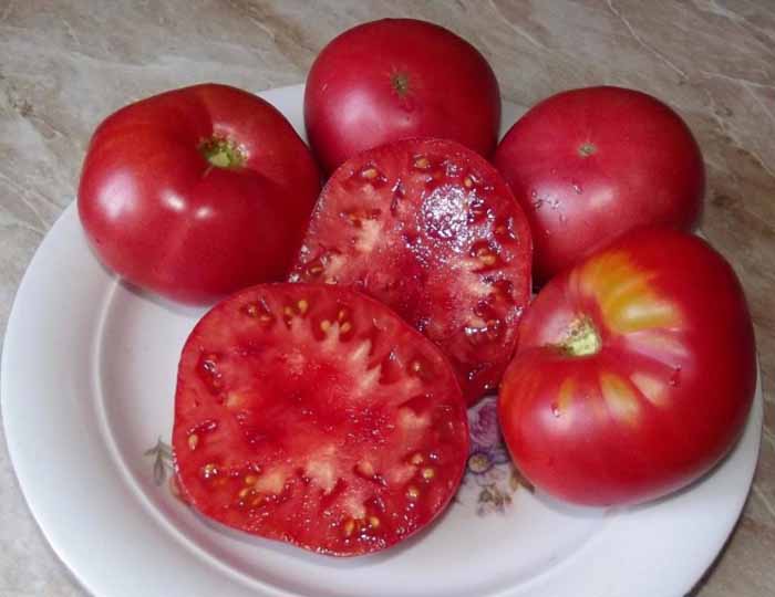 Низкорослые томаты (100 фото) — каталог лучших сортов томатов низкого роста 2022 года