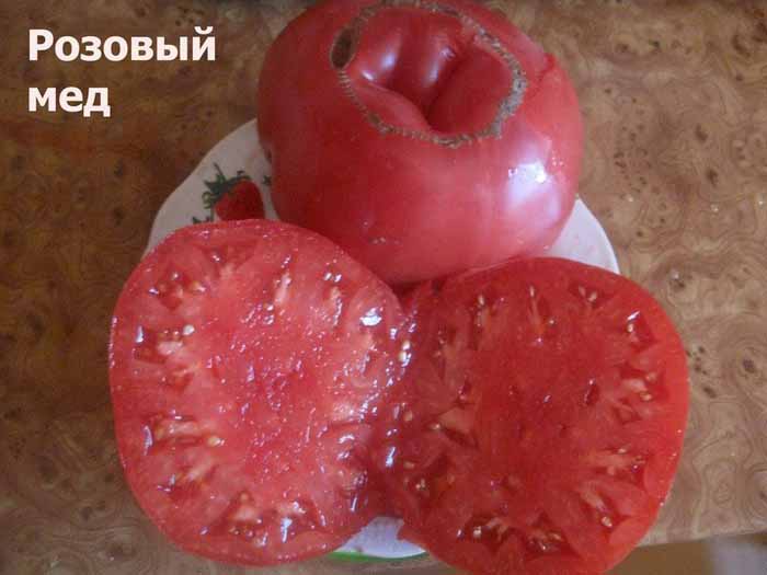 Низкорослые томаты (100 фото) — каталог лучших сортов томатов низкого роста 2023 года