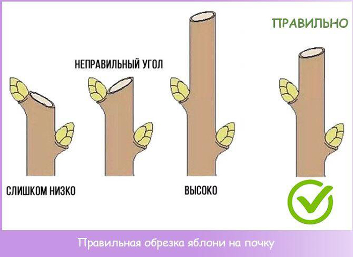 Как правильно обрезать фото человека Фотографии ОБРЕЗКА ФОТО ПО ФИГУРЕ