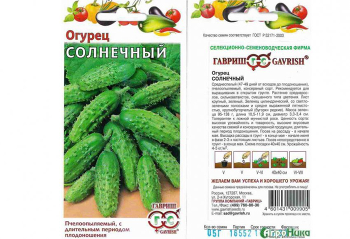 Огурцы для Подмосковья — 42 лучших сорта 2023 года для теплиц и открытого грунта