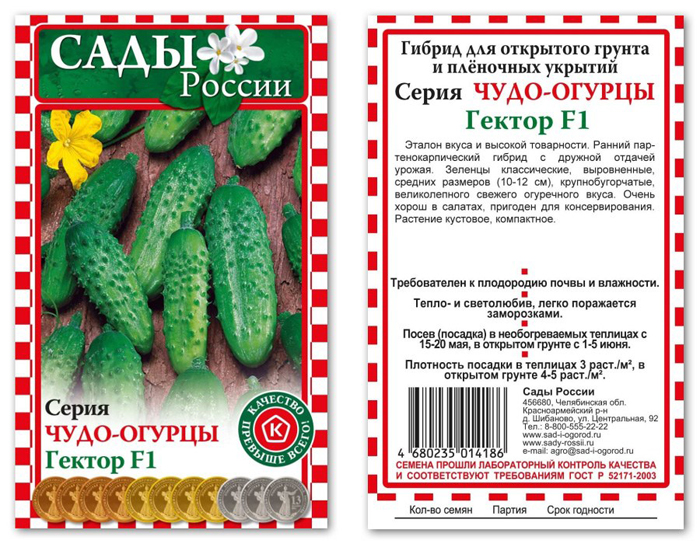 Огурцы для Подмосковья — 42 лучших сорта 2023 года для теплиц и открытого грунта
