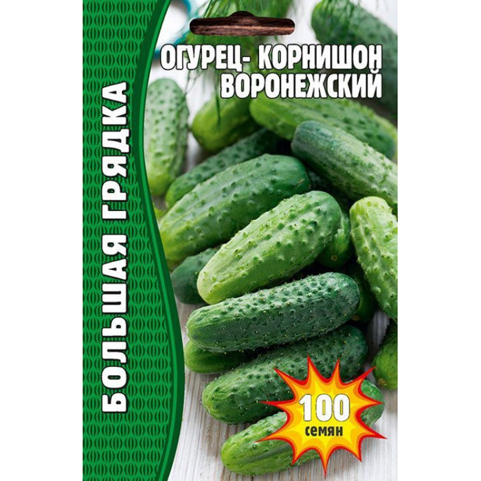 Огурцы для Подмосковья — 42 лучших сорта 2023 года для теплиц и открытого грунта