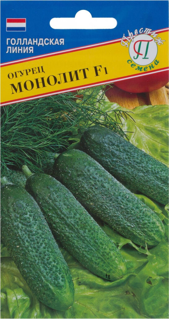Огурец Монолит F1 (30 фото) — описание сорта, урожайность, выращивание