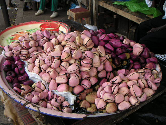 Орех кола (25 фото) — описание, выращивание, польза и вред, где купить уникальный орех