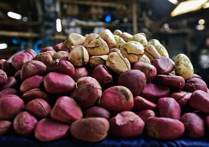 Орех кола (25 фото) — описание, выращивание, польза и вред, где купить уникальный орех