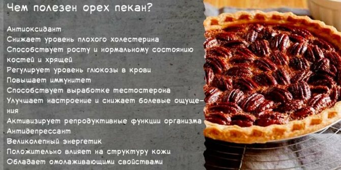 Орех Пекан (40 фото) — описание, сорта, как и где вырастить в России