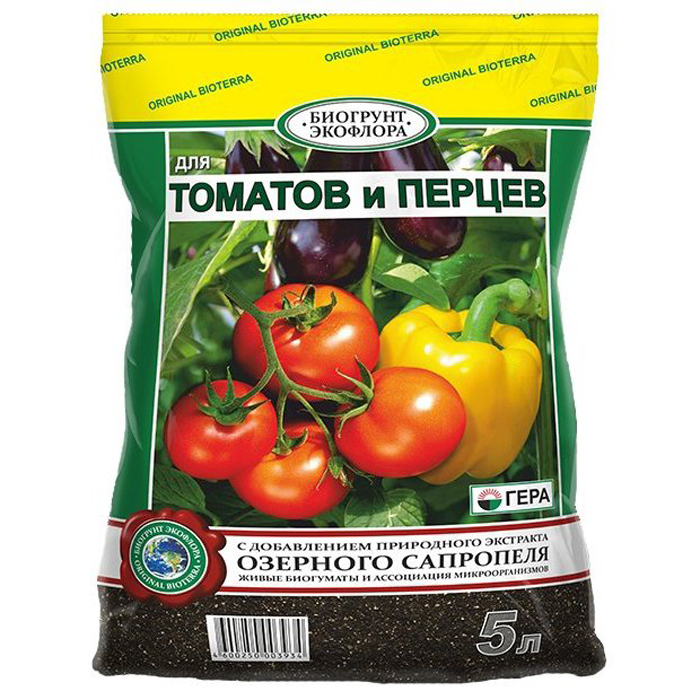 Пикировка томатов – когда и как правильно пикировать рассаду помидоров