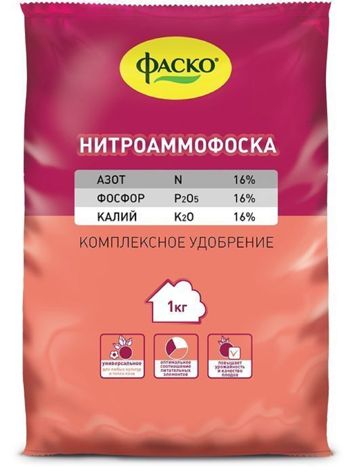 Подкормка лука — чем и когда удобрять лук