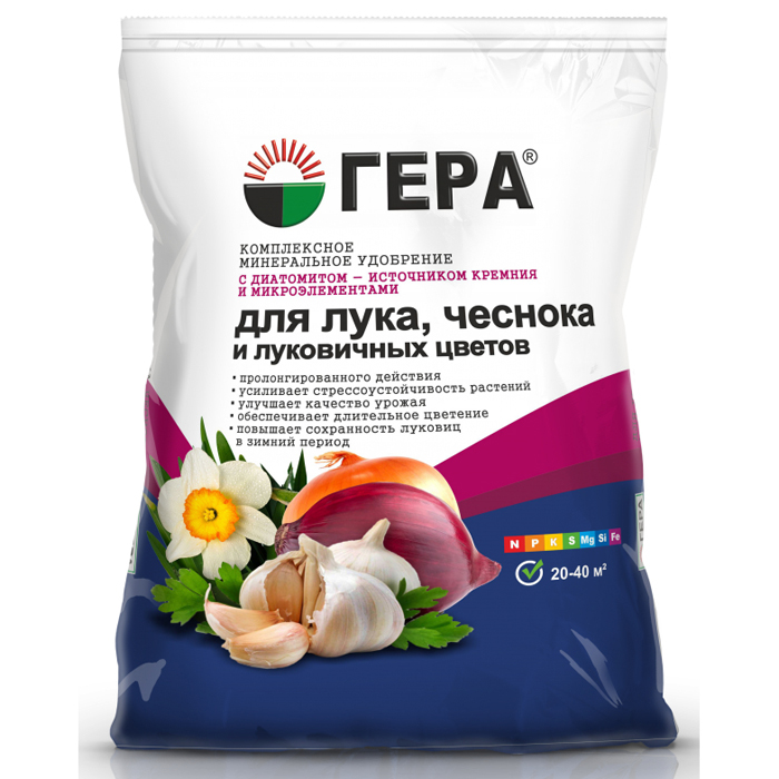 Подкормка лука — чем и когда удобрять лук