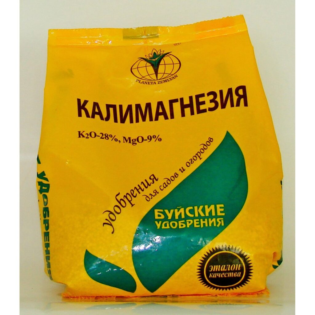 Подкормка лука — чем и когда удобрять лук