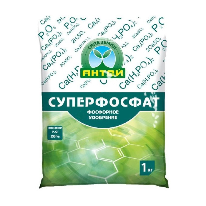 Подкормка лука — чем и когда удобрять лук