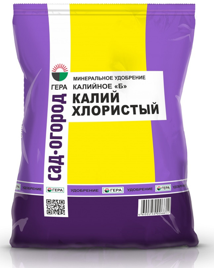 Подкормка лука — чем и когда удобрять лук