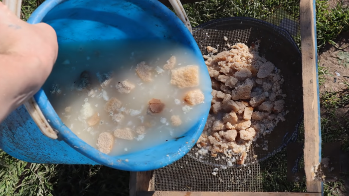 Подкормка лука — чем и когда удобрять лук