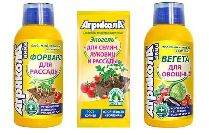Подкормка лука — чем и когда удобрять лук