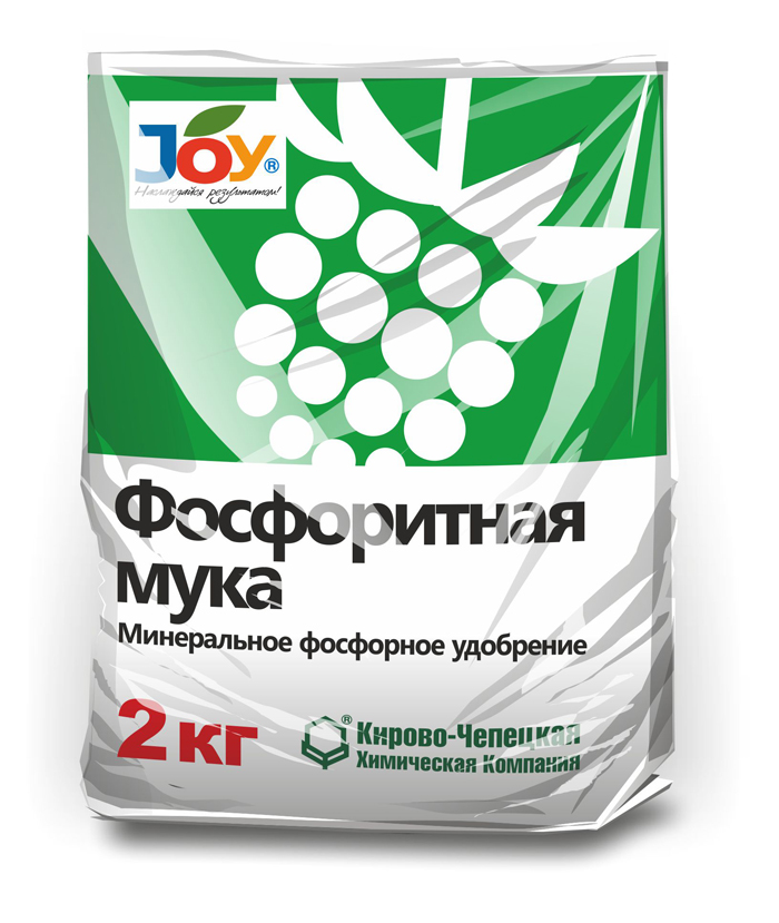 Подкормка лука — чем и когда удобрять лук