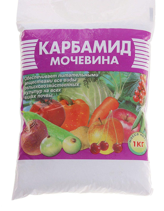 Подкормка лука — чем и когда удобрять лук