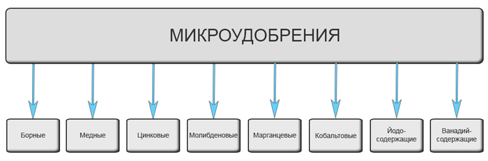 Подкормка огурцов – чем и когда подкармливать огурцы: схемы и дозировки