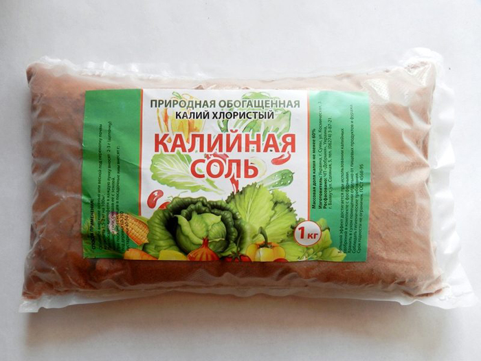 Подкормка огурцов – чем и когда подкармливать огурцы: схемы и дозировки
