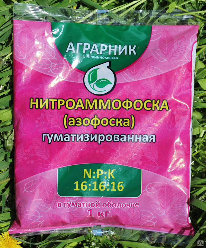 Подкормка огурцов – чем и когда подкармливать огурцы: схемы и дозировки