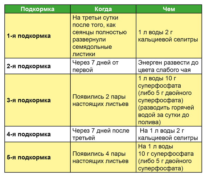 Подкормка рассады — когда и чем удобрять рассаду для хорошего роста