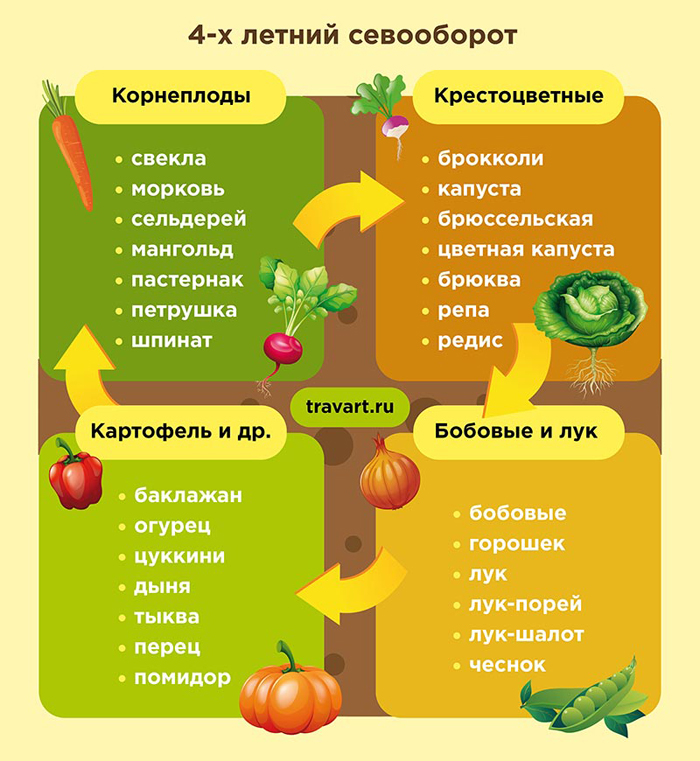 Посадка и выращивание сладкого перца: ВСЕ секреты богатого урожая