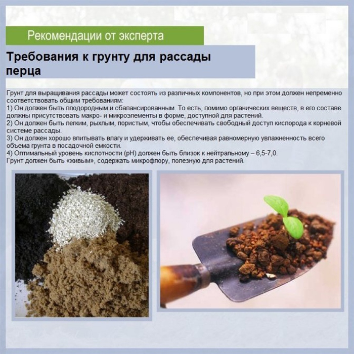 Посадка и выращивание сладкого перца: ВСЕ секреты богатого урожая
