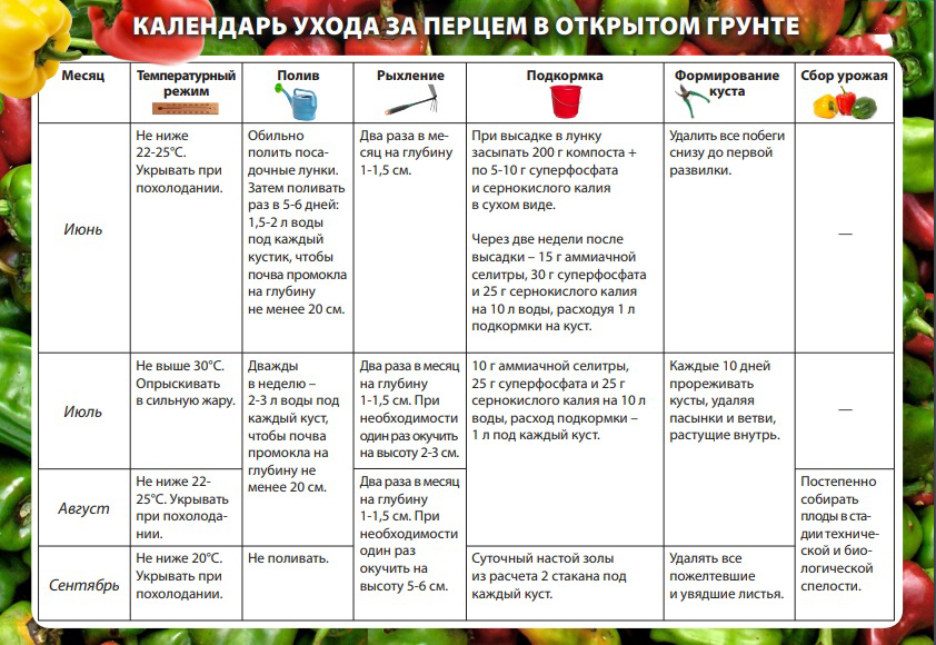 Посадка и выращивание сладкого перца: ВСЕ секреты богатого урожая