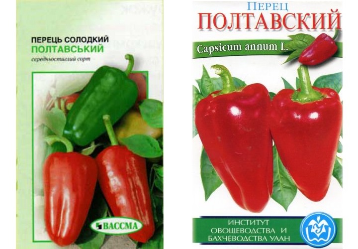 Посадка и выращивание сладкого перца: ВСЕ секреты богатого урожая