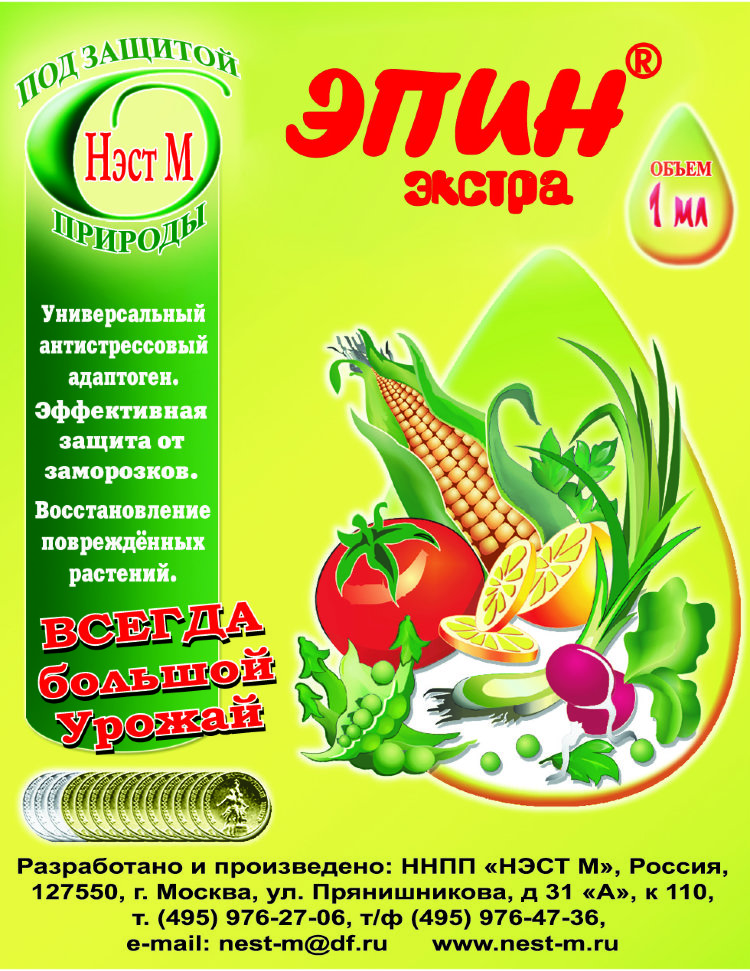 Посадка картофеля на Урале в 2023 году