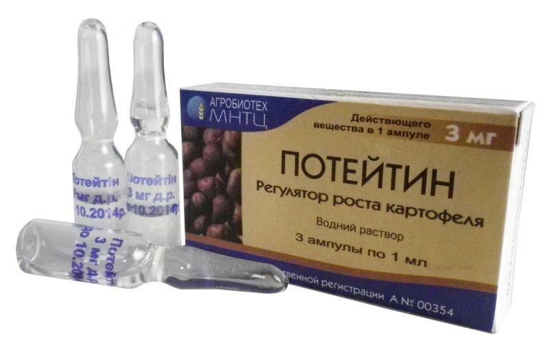 Посадка картофеля на Урале в 2023 году