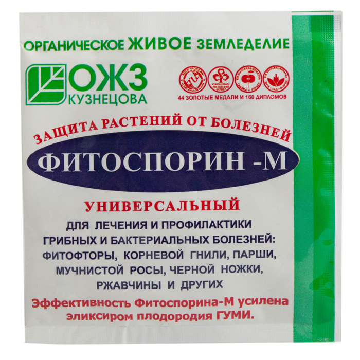 Посадка картофеля на Урале в 2023 году