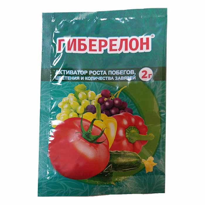 Пустоцвет на огурцах: причины и что делать?