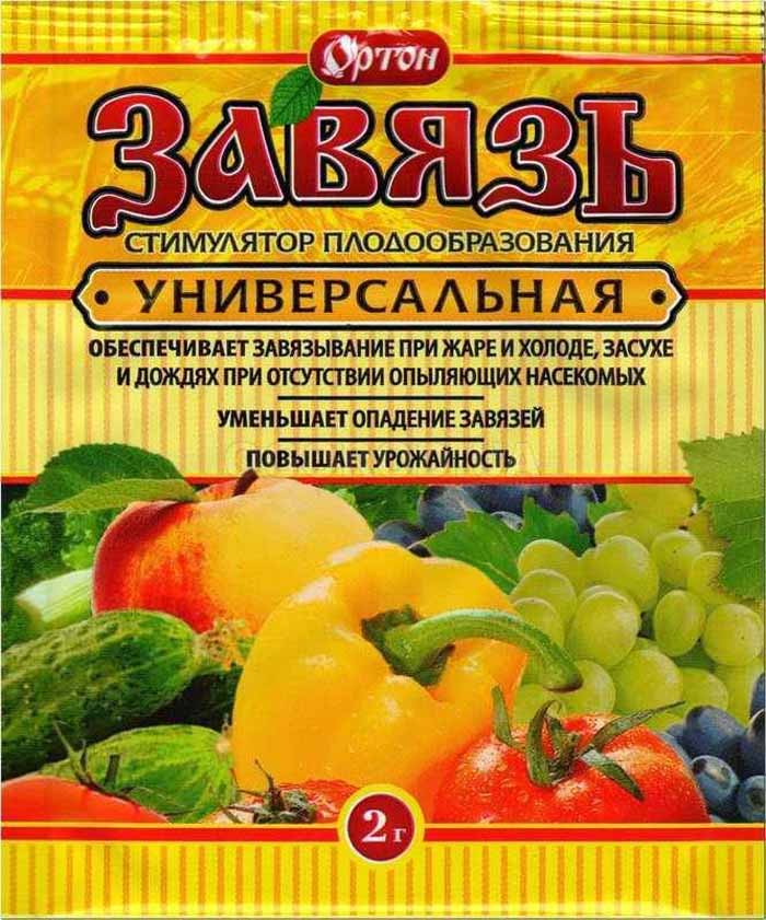 Пустоцвет на огурцах: причины и что делать?
