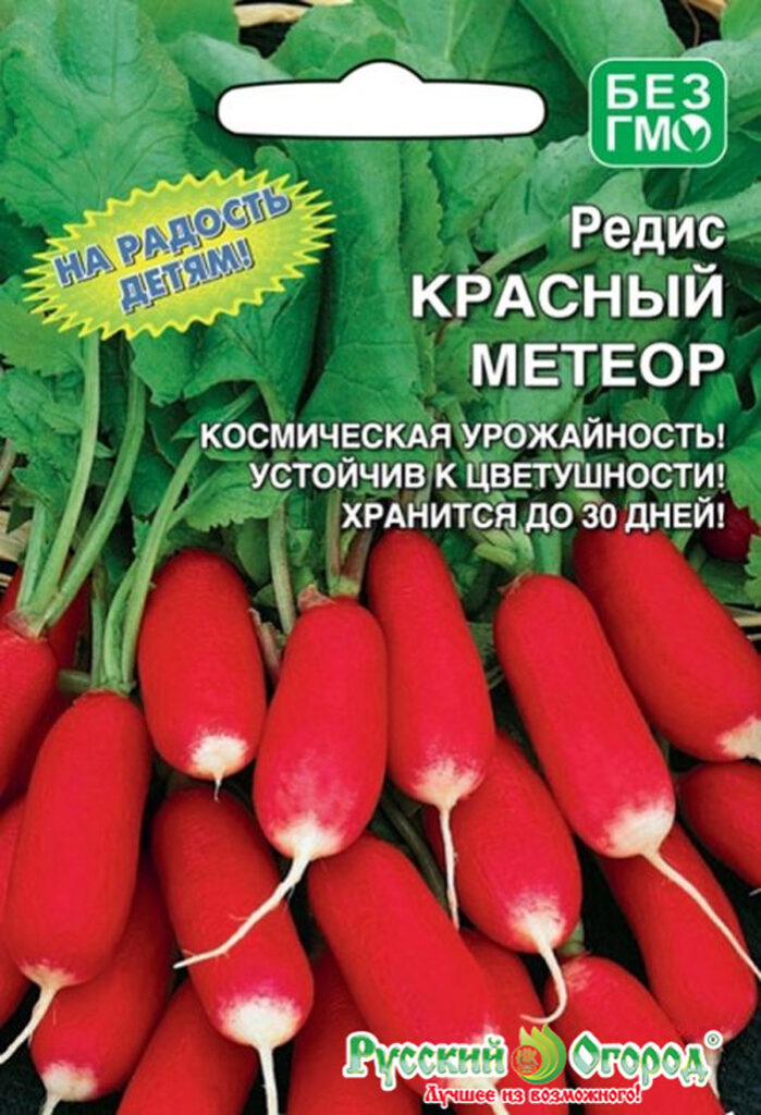 Ранний редис – ТОП-10 скороспелых сортов