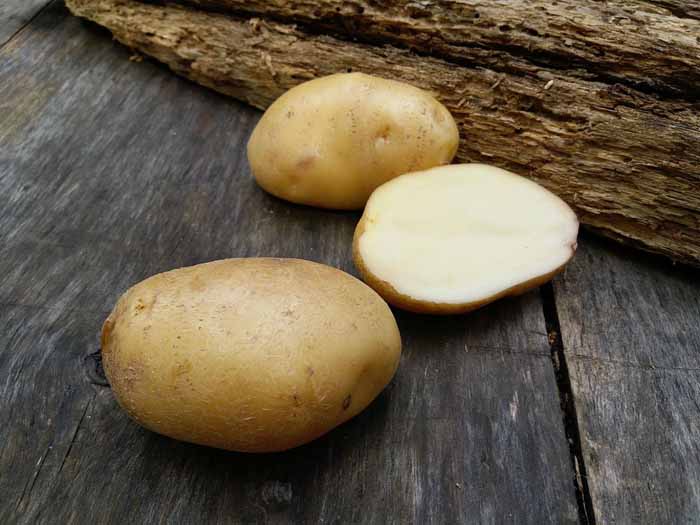 Рассыпчатые сорта картофеля – ТОП-20 2022 года