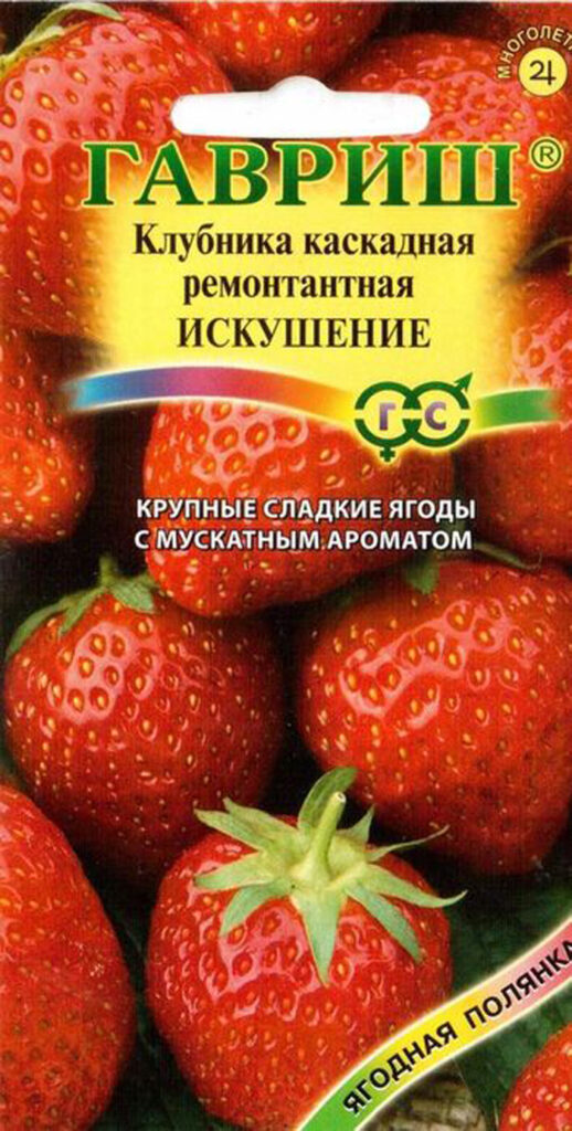 Ремонтантная клубника: описание, ТОП лучших сортов и выращивание