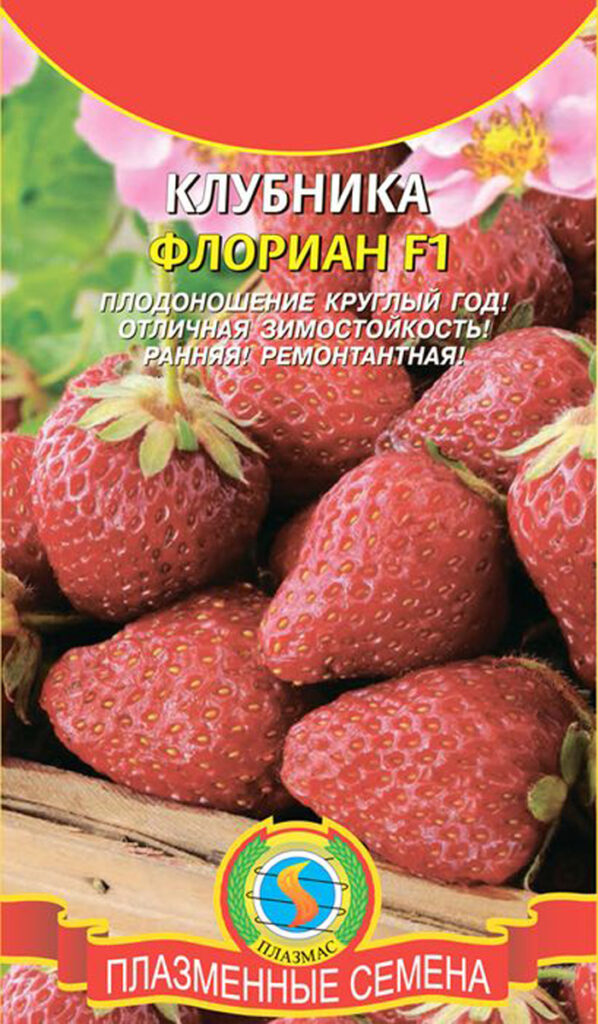 Ремонтантная клубника: описание, ТОП лучших сортов и выращивание